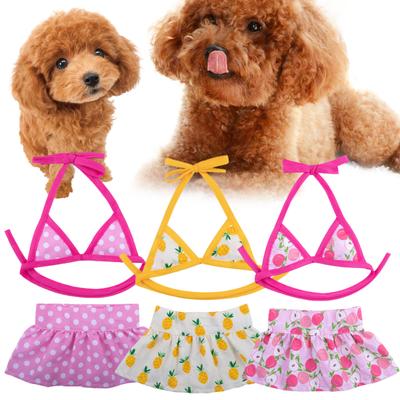 1 Set Nastro di fissaggio per costume da bagno per animali Comodo stampa trasparente In estate Bikini per animali domestici Spiaggia per cani Costume da bagno per animali Festa in spiaggia