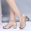 Women Summer Rhinestone Thick High Heel Sandals Gold Silver Fashion Female Shoes