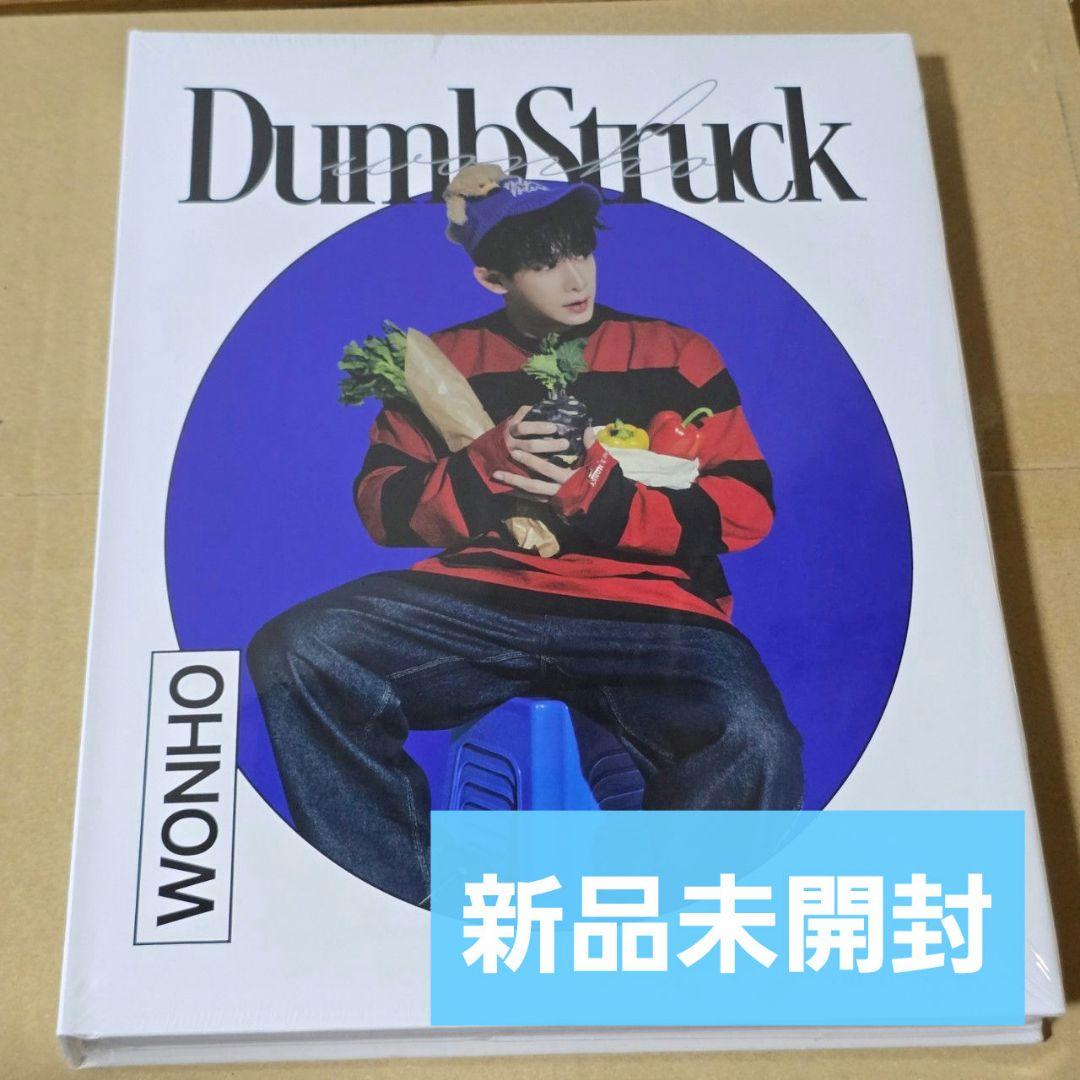 

[USED] Wonho Photobook