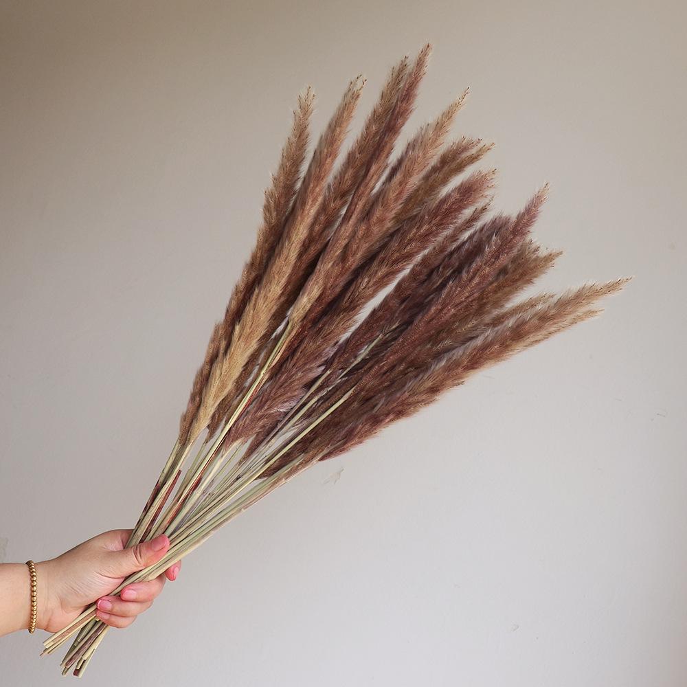 Wabi-sabi Dried Flower Arrangement: Reed, Pine Cones, Cotton, Wheat, Poppy Bouquet
