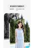 Design Sense Niche Fashion Temperament Dress