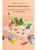Magnetic Wooden Fishing & Carrot Game - Early Education Puzzle for Hand-Eye Coordination