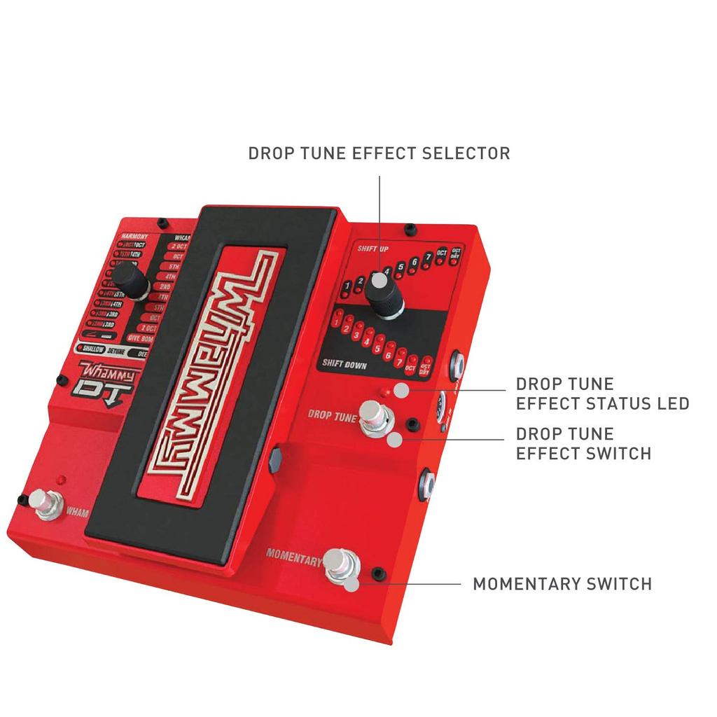 Běžný dovoz Digitech WHAMMY DT Whammy DT [Domácí produkt]