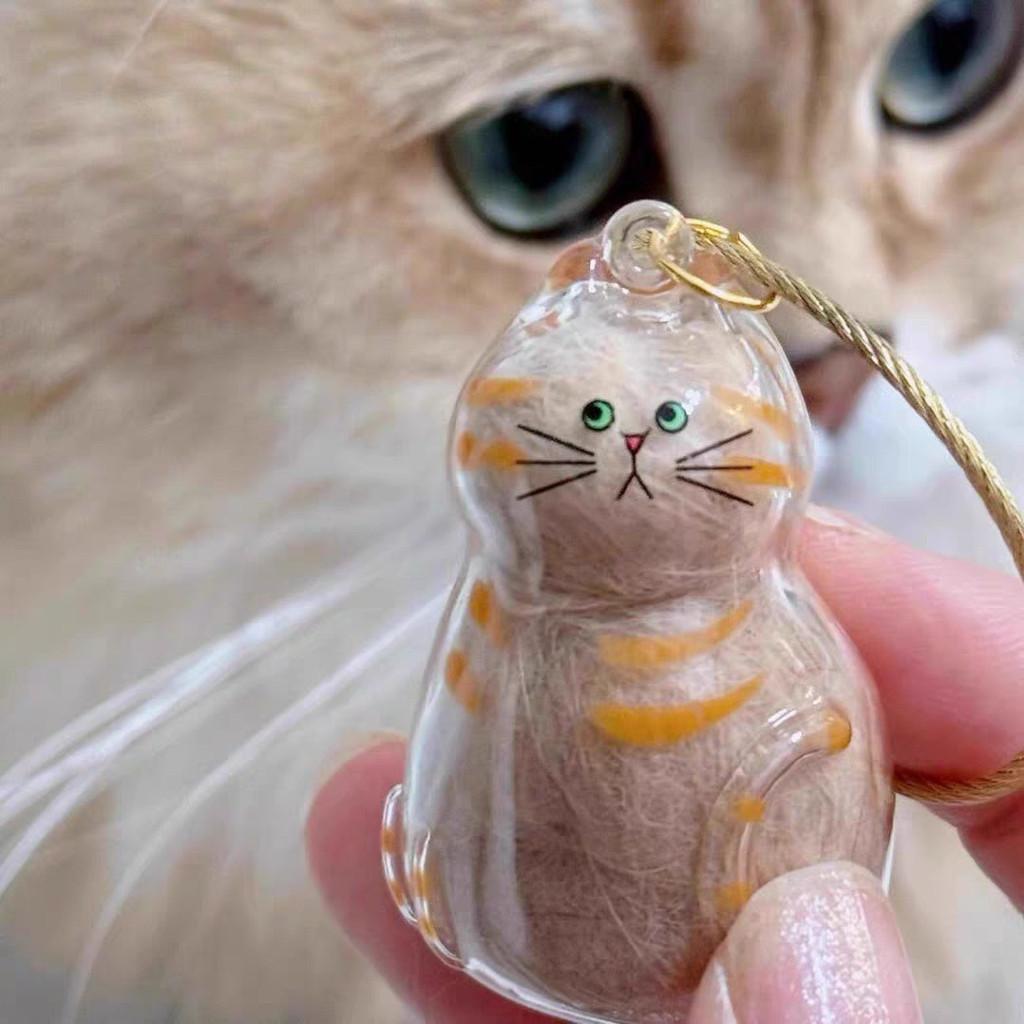 Cat Hair Storage Capsule Keychain With Acrylic Material For Collectors Gift And Party Decor
