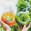 Süße Donut Wasserflasche Griff Ring Frauen Mädchen Reise Tasse transparente Trinkflasche