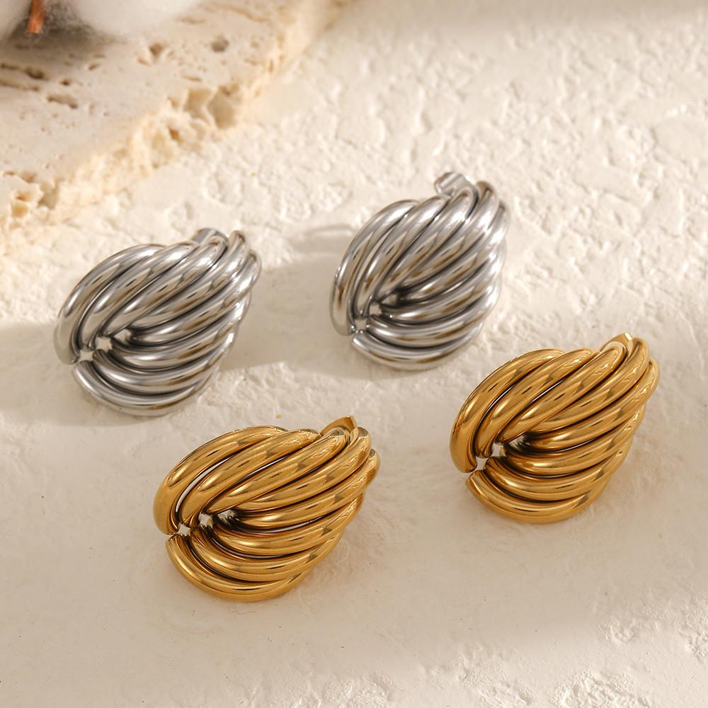 Geometric Stainless Steel Earrings For Women With Pvd Finish For Trendy Fashion