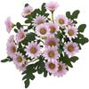 Autumn Silk Artificial Chamomile Daisy Flowers For Home Garden Wedding Fake Flower Bouquets DIY Decor Household Products