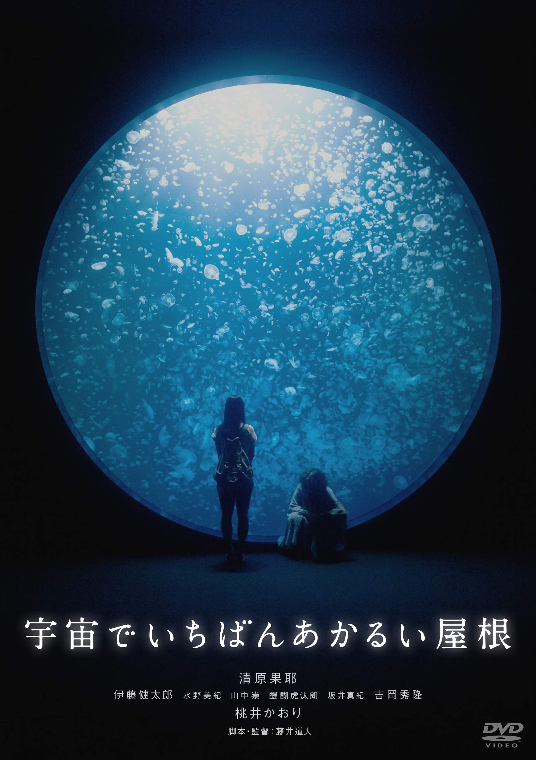 

The brightest roof in the universe [DVD]