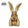 Indoor Bunny Decoration Easter Figurine Cute Rabbit Holding Face Statue 3D Printed Crack Resistant Figure Ornament for Living Room Bedroom