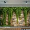 2D Country Garden Stone Wall Climbing Green Ivy Studio Portrait Backdrop