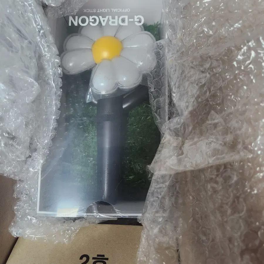 

G-dragon Дейзи Вонг