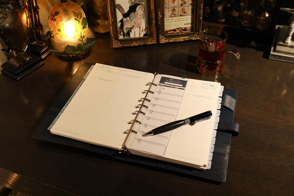 Franklin Planner Horsehair Embossed 2 Binder 64590 Compact Size 25mm Black