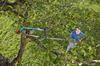 GARDENA Hacksaw, 35cm Blade, Combi System 691-20, Product Warranty: Up To 25 Years