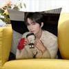 Huang Xing Eliot Huang D-Desire   Various Sizes Square Pillow Case For Car Home Bedchamber Decor