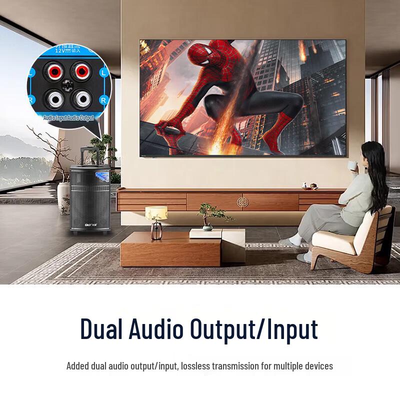 SAST SA-206 Karaoke Speaker System (CN Version)