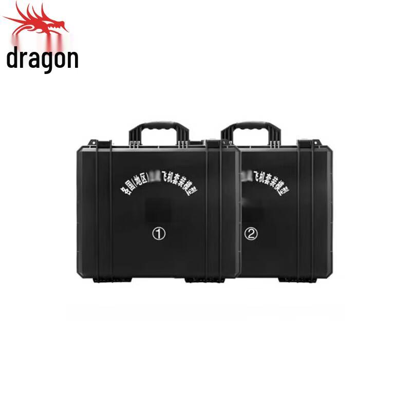 Dragon Gaze Airplane Model Set