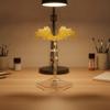 Transparent Doll Stand with Waist Clamp Clear Model Display Holder