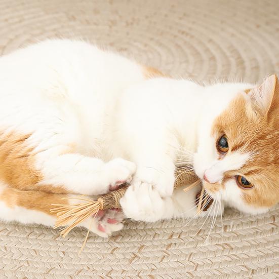 Yousheng Cat Chew Toy Bite-resistant Natural Materials Refreshing Breath Pet Cat Kitten Teeth Grinding Stick Pet Supplies