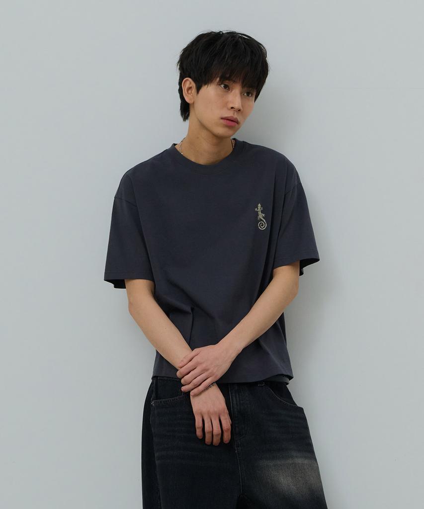 Desiledeu Front Graphic Crop Short Sleeve T-Shirt-Fbsk5805D09
