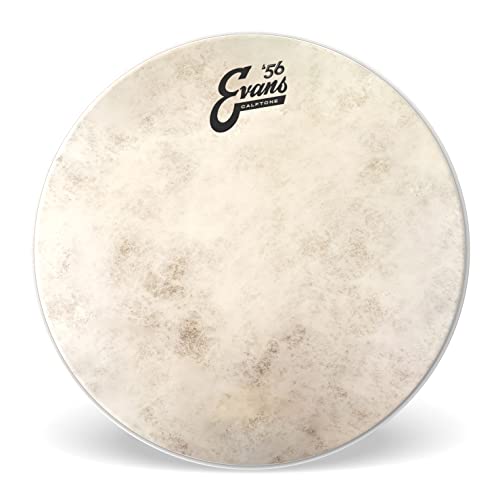 EVANS  56 Calftone Том TT14C7 14-дюймовый Пластик для барабана (Официальный японский продукт)