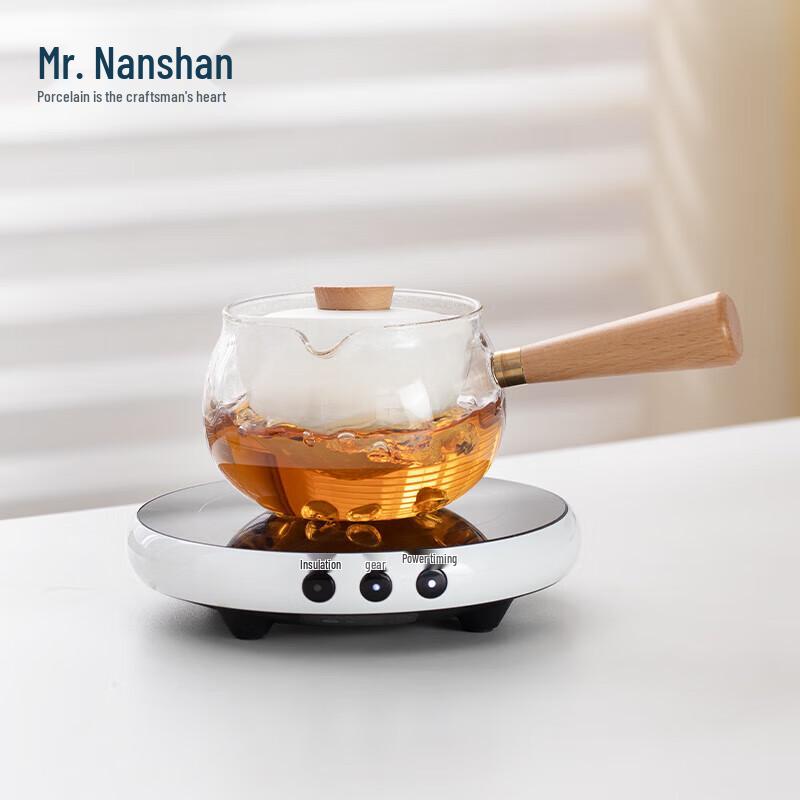 Heat-Resistant Glass Teapot with Side Handle