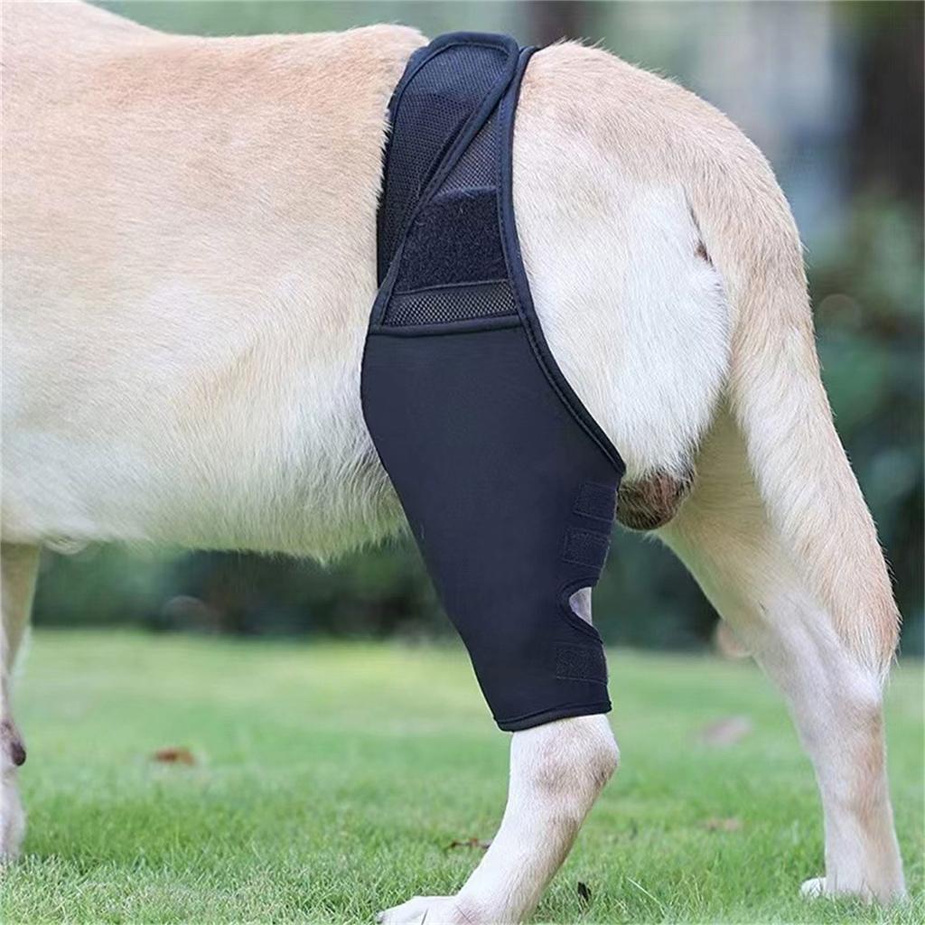 Adjustable Breathable Dog Leg Support Brace For Injury Recovery With Neoprene Mesh Fabric And Hook Loop Straps