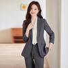 2024 Women's Gray Professional Suit Set - Spring/Autumn High-End Jacket for Workplace, Commute, or Interview