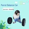 Papagei Roller Skateboard Trainingsspielzeug für kleine und mittelgroße Vögel