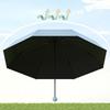 Compact Travel Mini Umbrella Uv Protection Capsule Umbrella 5 Fold Ultra Lightweight Sunshade Umbrellas Protable Manual