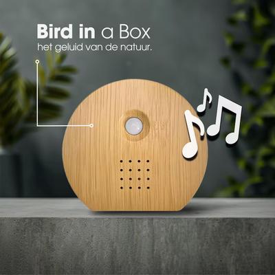 Alto-falante de Canto de Pássaro Máquina Inteligente de Ruído de Animal Caixa de Pássaro Cantor com Caixa de Som de Som da Natureza para Sala de Estar Estúdio de Yoga Centro de Spa