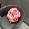 Korean-Style Lotus Water Lily Plush Toy - Succulent Good Luck Home Back Cushion