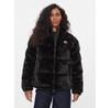 Winter Jacket DW0DW16584
