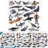 Realistic Pvc Orca Devil Fish Sea Lion Penguin Dolphin Ocean Animal Diver Model Set