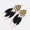 Wind Bohemian Painted Glazed Feather Fringed Earrings Fashion Temperament Women's Earrings Long Necklace Accessories