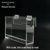 Acrylic Fish Observation Box with Scale and Lid - Portable Transparent Photography Container