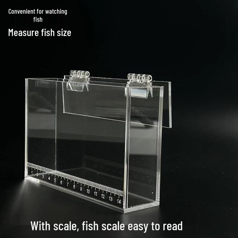 Acrylic Fish Observation Box with Scale and Lid - Portable Transparent Photography Container