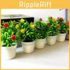 Rose Mini Flower Potted Home Decoration Ornaments For Tabletop Decor Gift
