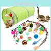 Ensemble complet de jouets pour chat Balle en sisal Canne à pêche pour chat Tunnel pour chat Kit de 21 pièces Pour chats actifs