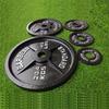 Commercial Four-Rib Olympic Weightlifting Barbell Plates - Large Hole Cast Iron