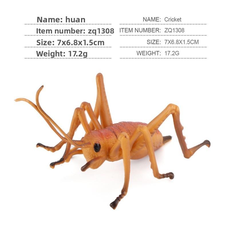 Insect Educational Toy Set With Wasps Ants Crickets Models For Kids Science Learning