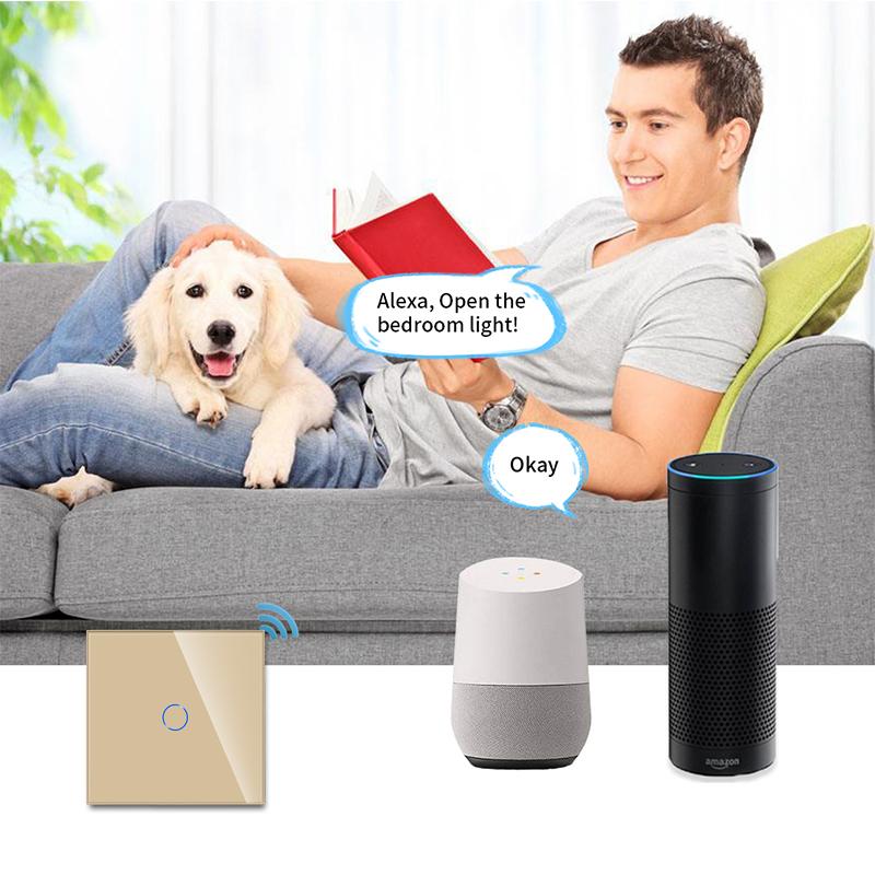Bingelec Home Automation Europe 1 Gang Wifi Remote Control Wall Touch Light Zigbee Tuya Smart Switch