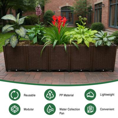 Boligdekorationer – Dekorative blomsterpotter