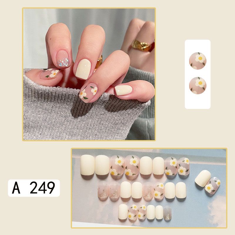 

Камелия Нежный Бисса Цветение Карамель Носит Доспехи Cream Camellia [A249] Short