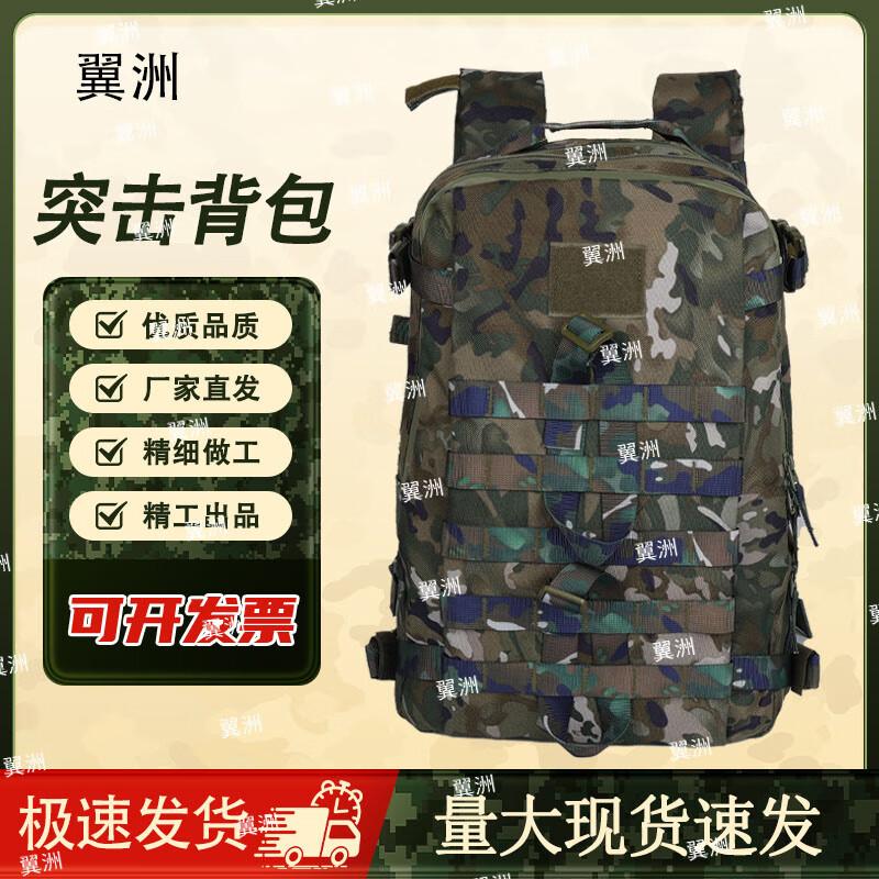 Yizhou Camouflage Tactical Assault Backpack