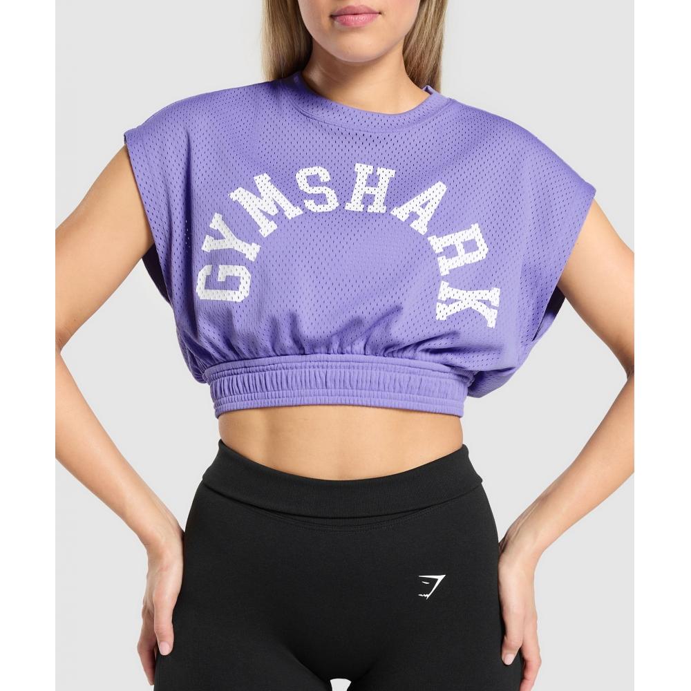 Gymshark Top Crop Grafic din Plasă Record Violet B4b1l Pb56