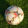 No. 5 Palloni da Calcio Antiesplosione e Resistenti all'Usura in PU Termosaldati Senza Cuciture per Adulti Studenti Gioco Allenamento