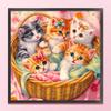 Full Embroidery Eco-cotton Thread 11CT Printed Cat Cross Stitch Kit Art
