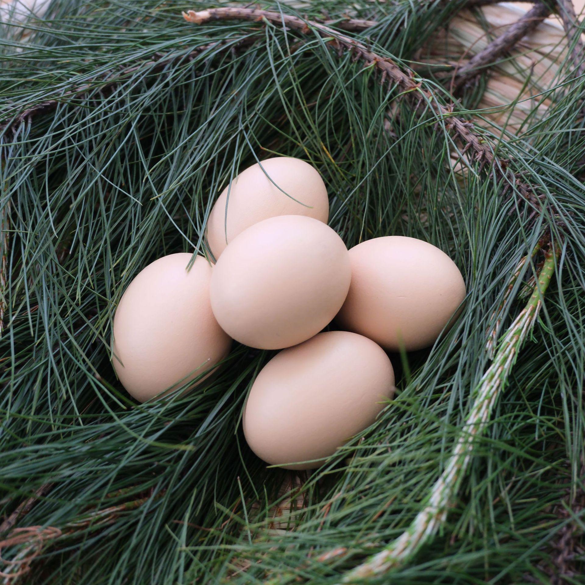 

Solid Wood Egg Playhouse: Handmade Easter DIY Doodle Hen Laying Egg Toy