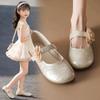 Youth Style Shoes Girls Mary Jane Shoes Soft Sole Princess Style Kids Ballet Flats