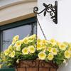 Cast Iron Bird Plant Stand With Wall Mount For Indoor Garden And Balcony Decor